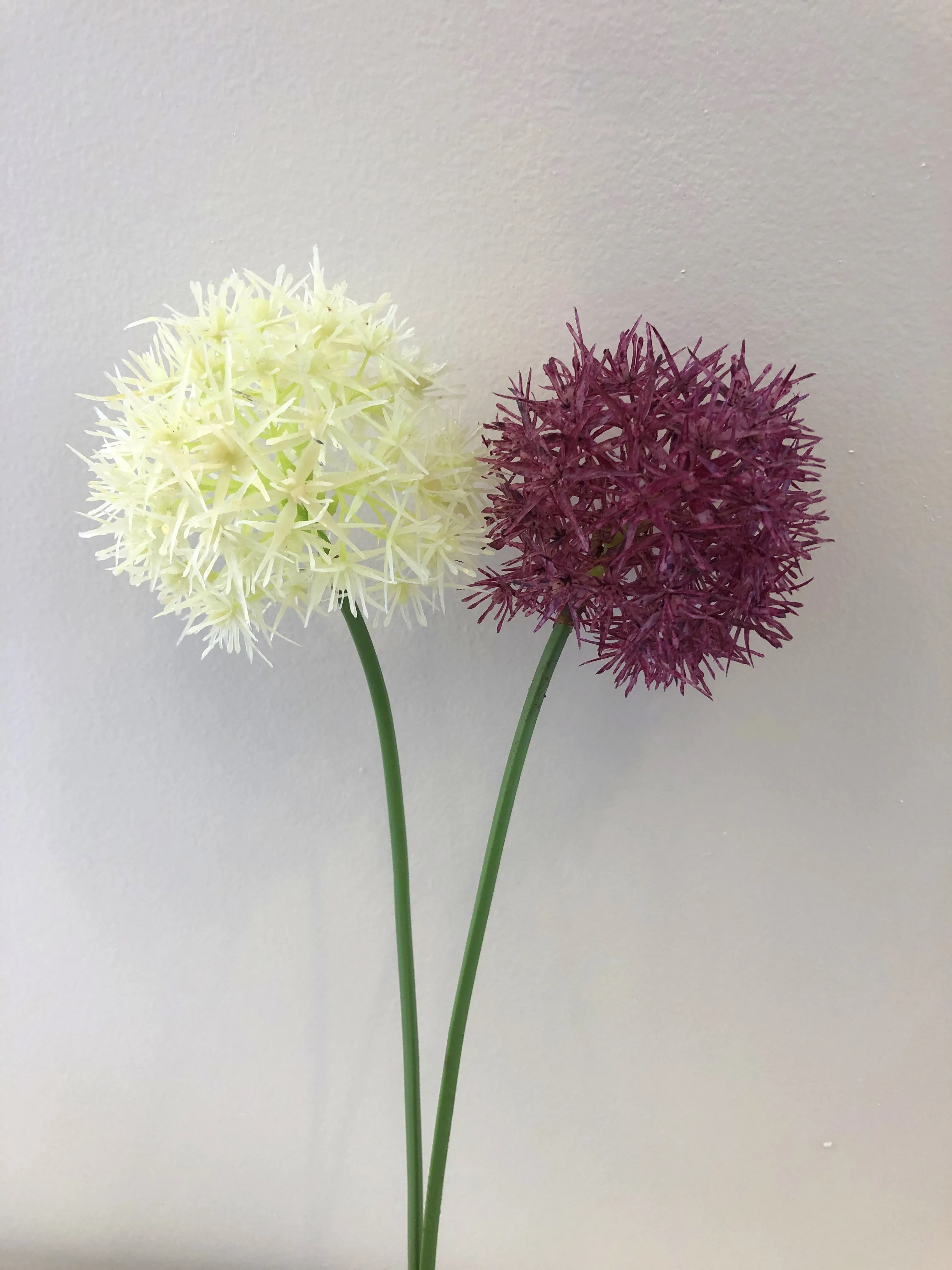 F0272 Single Allium Stem 49cm Purple / White (Clearance Stock)