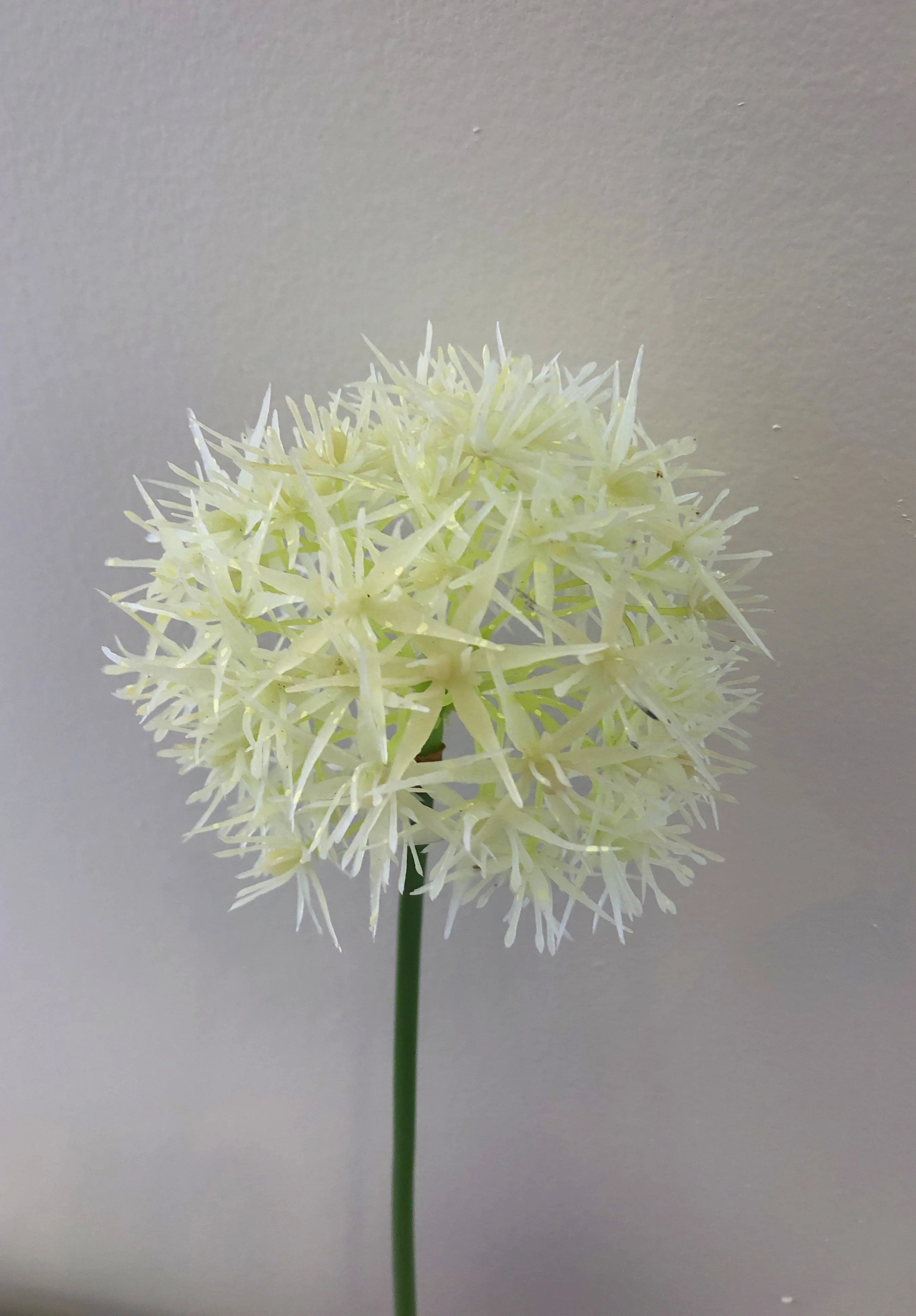 F0272 Single Allium Stem 49cm Purple / White (Clearance Stock)