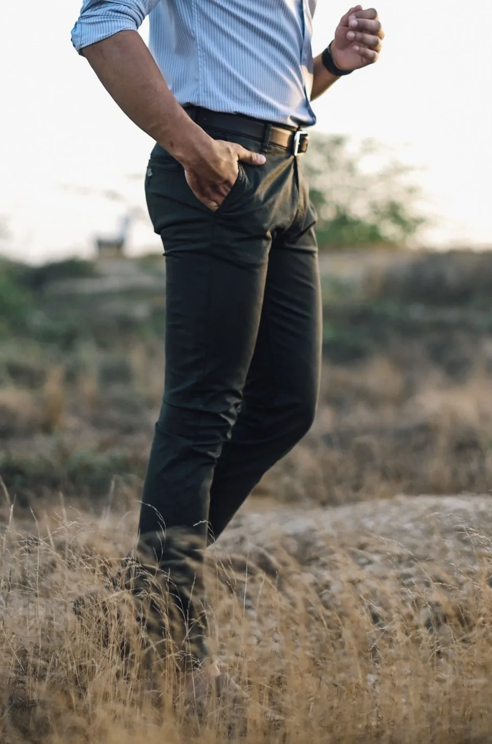 STELLAR - SLIM FIT (Regular)